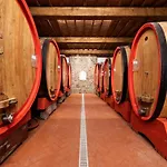 Wine Estate Paradiso Di Cacuci Farma *