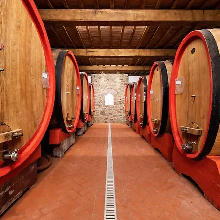 Wine Estate Paradiso Di Cacuci Farmház *