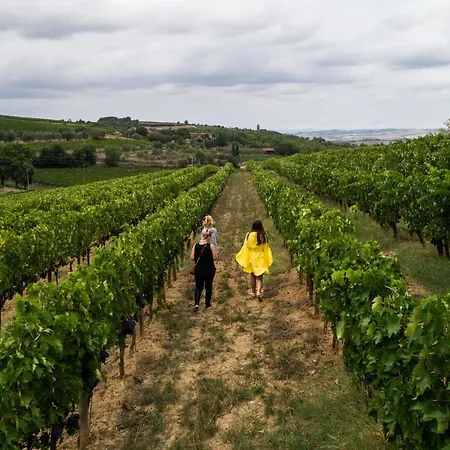 Wine Estate Paradiso Di Cacuci Farmház